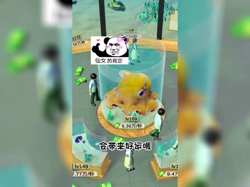 深海小飞鱼章鱼,池塘捞金龙鱼的奇妙冒险