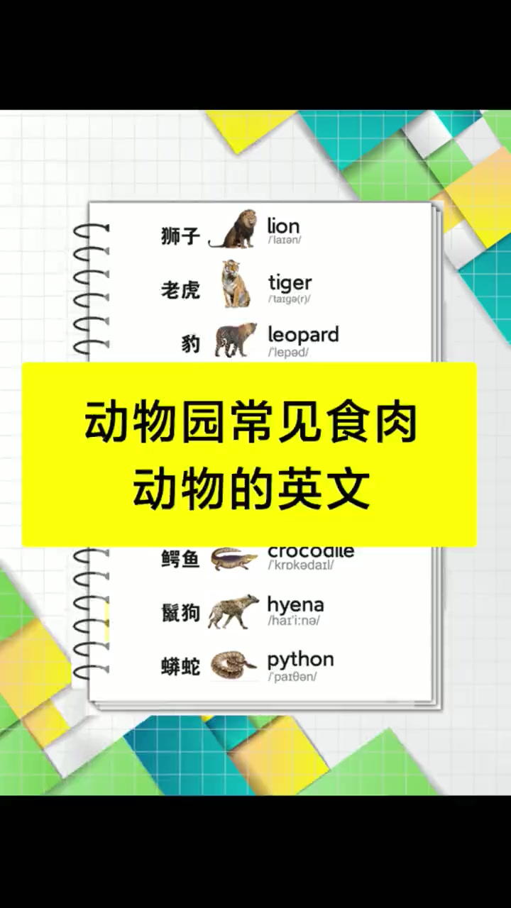 探秘动物园食肉动物英文,狮子、老虎、鳄鱼一网打尽