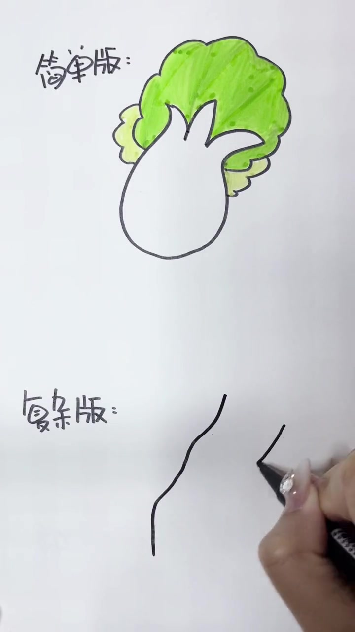 蔬菜大白菜简笔画，轻松学两种画法