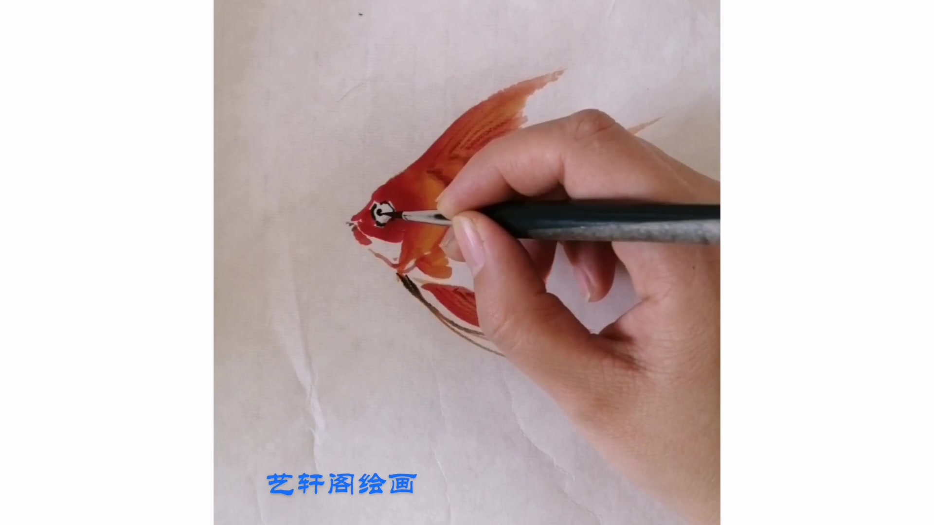 简单又漂亮的鱼画法,轻松学会!
