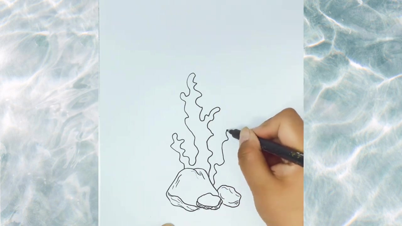 海草珊瑚简笔画，零基础也能轻松学会