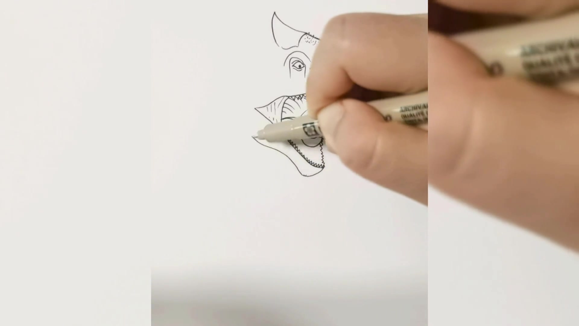 肉食牛龙画法大揭秘，轻松学会恐龙细节