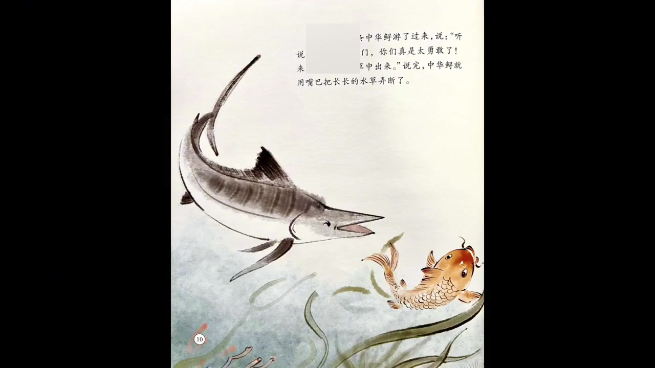 小鲤鱼跳龙门,金色小鲤鱼的冒险之旅