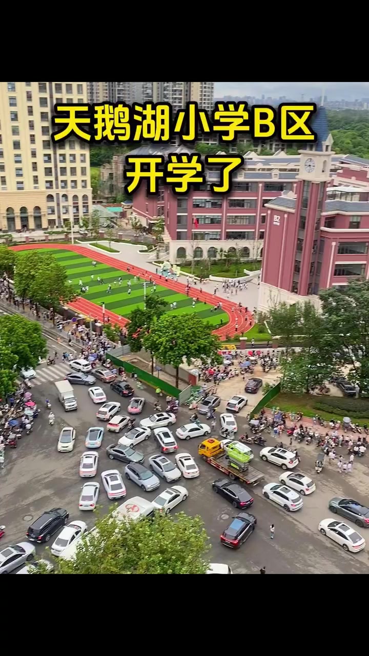 天鹅湖B区小学开学,一年级35班二年级31班