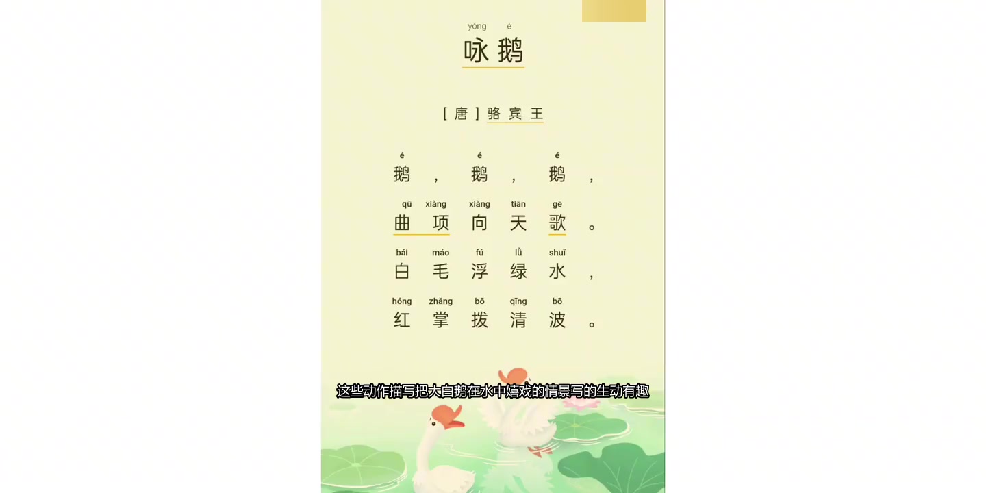 骆宾王七岁写《咏鹅》,诗意盎然展现白鹅戏水画面