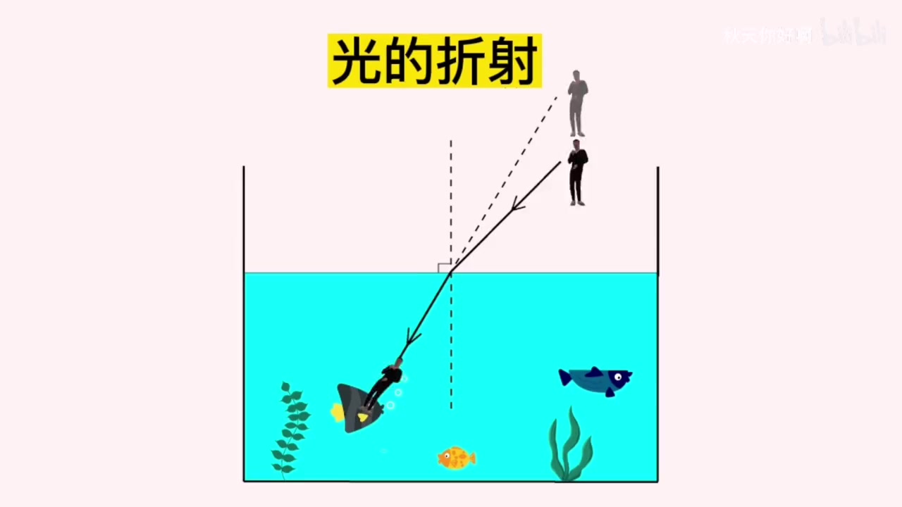 水中的鱼看岸上的人,视角竟然是这样!