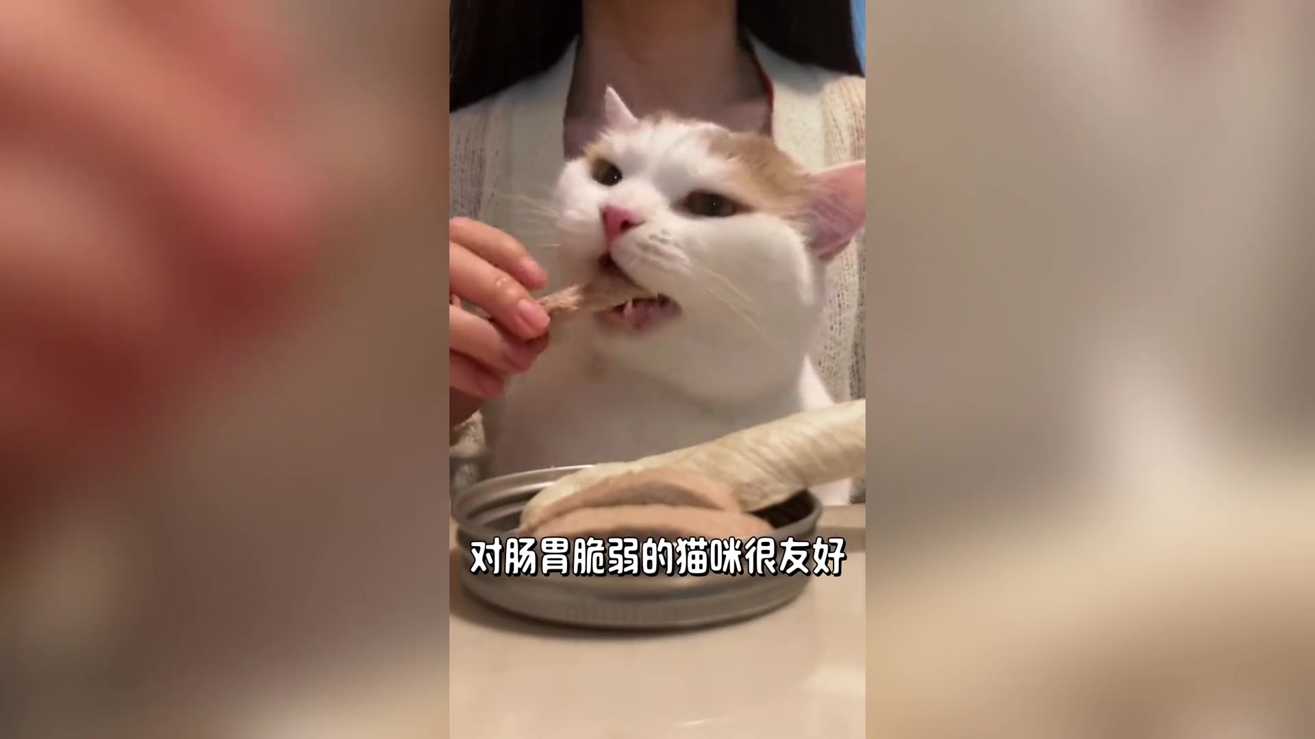 猫咪能吃奶油吗？了解这些健康风险