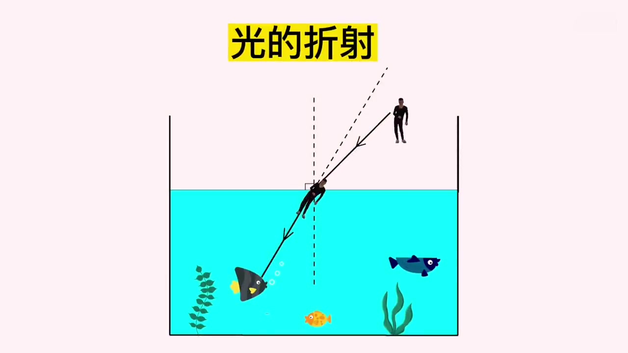 水中的鱼看岸上的人,视角竟然是这样!