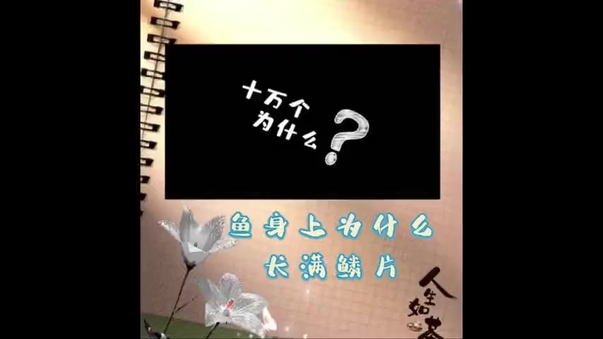 鱼鳞到底有什么作用?揭秘鱼儿“盔甲”的秘密