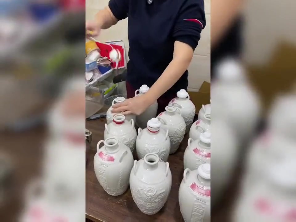 超大土龙药酒泡制,3.8斤大蛇配八十只海马